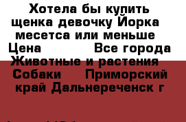 Хотела бы купить щенка девочку Йорка 2 месетса или меньше › Цена ­ 5 000 - Все города Животные и растения » Собаки   . Приморский край,Дальнереченск г.